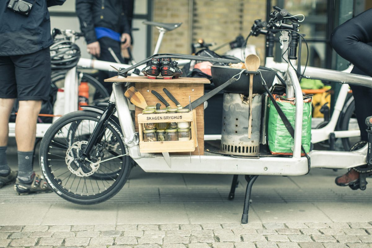Bullitt 8-Gang Nabenschaltung Gates Riemen | twentyinch